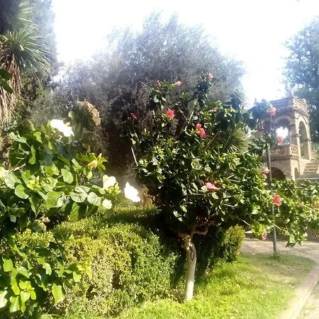 San Patrick Elegant Appartement *