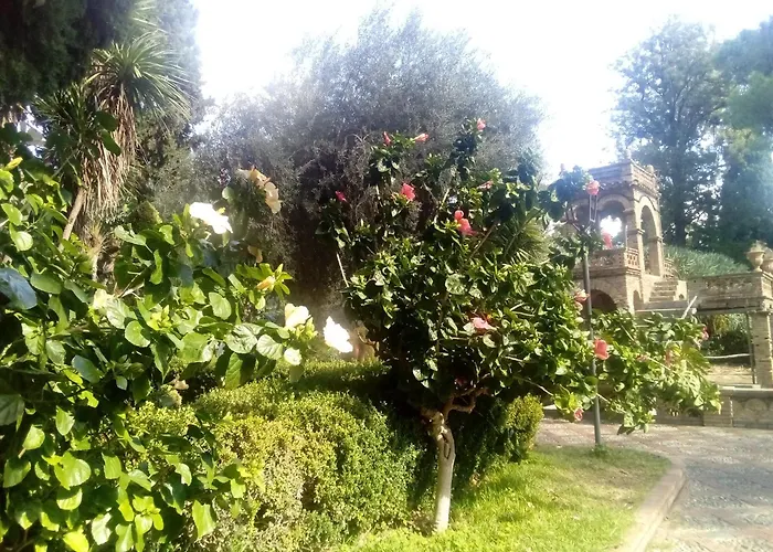 San Patrick Elegant Appartement *